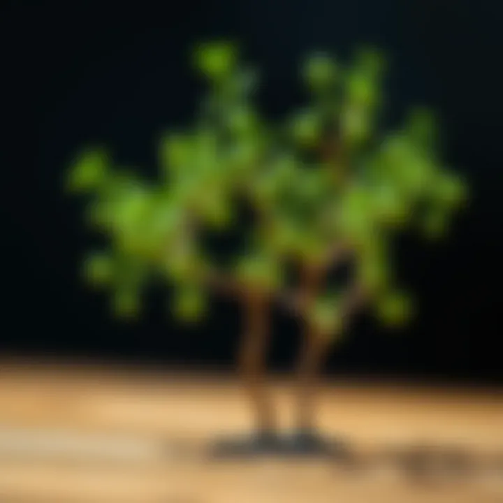 Common Binary Tree Traversal Techniques Visual representation of binary tree traversal methods including in-order, pre-order, and post-order paths