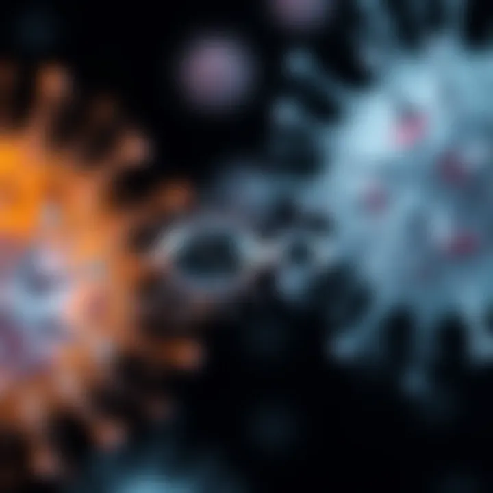 Diagram showing stages of binary fission in bacteria