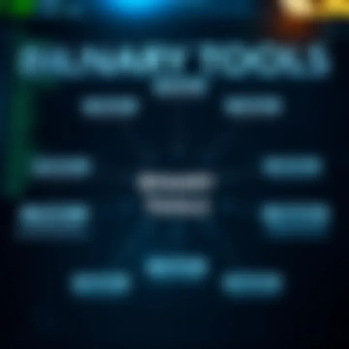 Diagram showing various types of binary tools used in programming and digital forensics